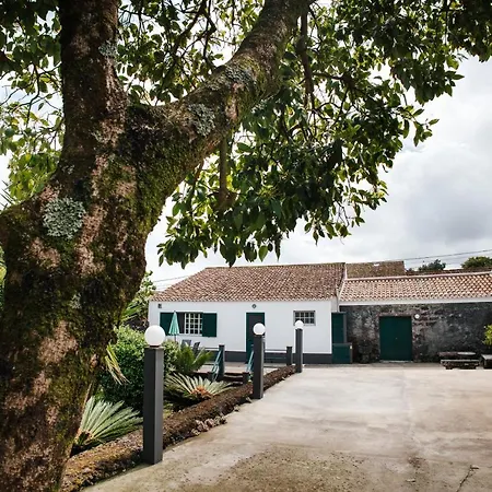 Σπίτι διακοπών Casa Palmeiras São Vicente Ferreira