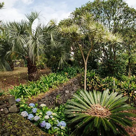 Casa Palmeiras Σπίτι διακοπών