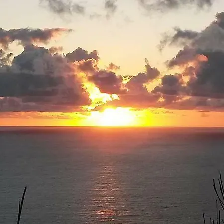 別荘 Casa Palmeiras