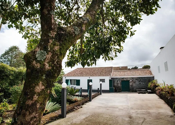 Holiday home Casa Palmeiras Sao Vicente Ferreira