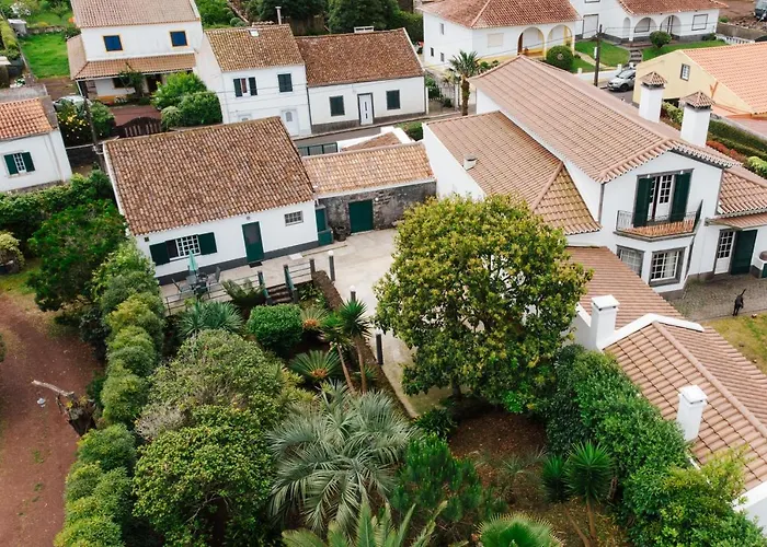 Casa Palmeiras Holiday home *