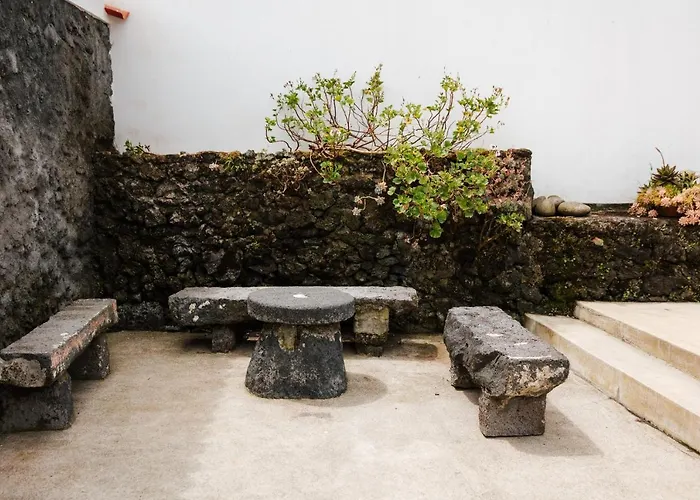 Holiday home Casa Palmeiras *