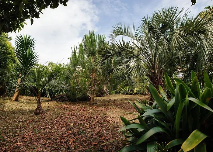 Casa Palmeiras Holiday home